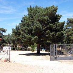 Camping Los Bonales (Guadalajara)