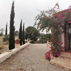 Finca La Constancia (Murcia)