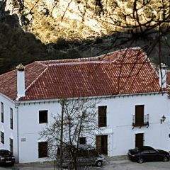 Los Siete Pinos (Cdiz)