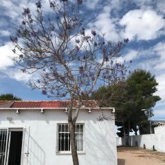 Villagomez (Alicante)