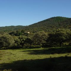 Finca Las Mogeas (Huelva)