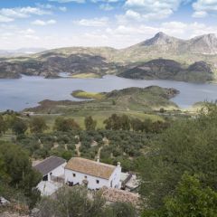 Molino El Vinculo (Cdiz)
