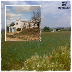Mas Del Botiguer (Castelln)