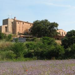 Masia Les Torres De Selma (Tarragona)