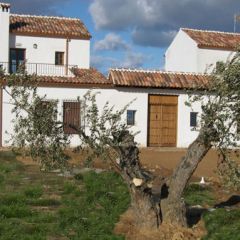 Huerta Cabaeros (Ciudad Real)