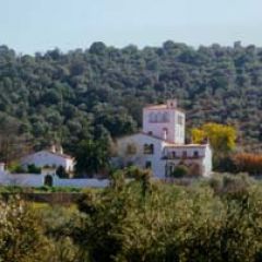 Via las Torres (Cceres)
