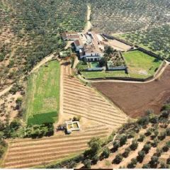 Cortijo La Florida (Sevilla)