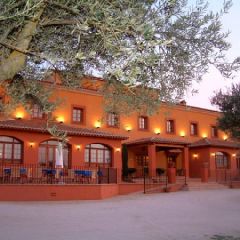 Olivar De Las Mangas (Toledo)