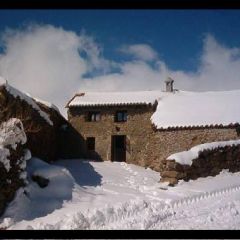 La Salamandra De Gredos (�vila)