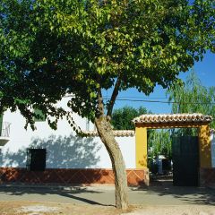 La Casa De Bazan (Ciudad Real)