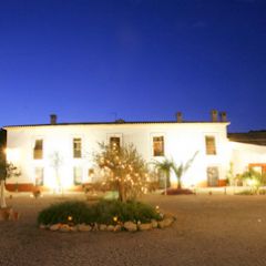 El Olivar De Tramaya (Jan)