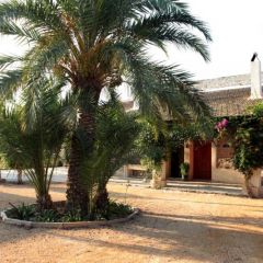 La Carrasca (c)