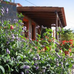 El Manso (Tenerife)