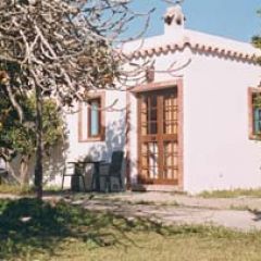 Casas El Camino (Cdiz)