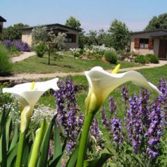 La Cerca Del Alcornoque (C�ceres)