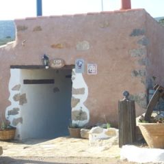 Jardn Mediterrneo - El Cup (Castelln)