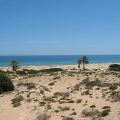 Ilicitan Guest House GAY (Alicante)