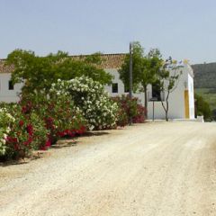 Hacienda El Santiscal (Cdiz)