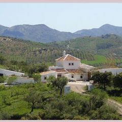 Restaurante Alfagia (Mlaga)