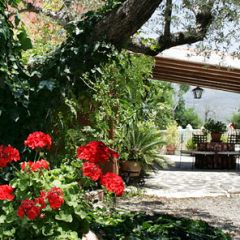 Casa Chacn (Murcia)