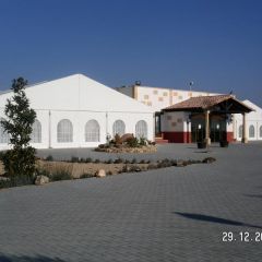 El Encinar De Haldudo (Ciudad Real)