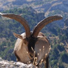 Alojamientos Rurales Zumeta Valle (b)