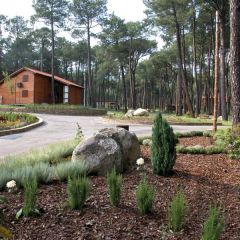 Paraiso Del Tietar (vila)