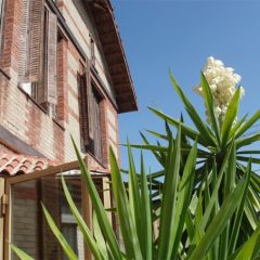 La Mansion De Navalcarnero (Madrid)