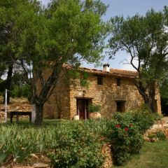 Mas De Blai (Castelln)