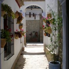 Hacienda Minerva (Crdoba)
