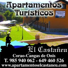 Apartamentos El Castaeu (Asturias)