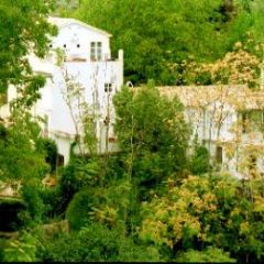 Molino La Farraga (Jan)