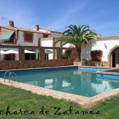 Charca De Zalamea (Badajoz)
