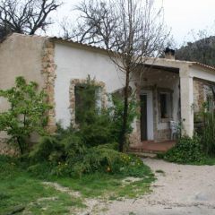 Los Enebros 1  (b)