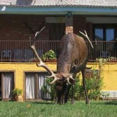 Casa Rural Los Galpagos (Ciudad Real)