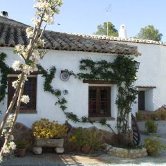 Cuevas La Teja (Granada)