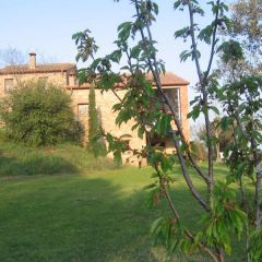Can Siso (Girona)