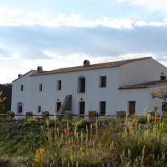 Cortijo Leontino (r)