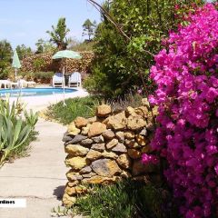 Casa Francine (Tenerife)