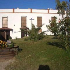 Cortijo El Patriarcal I y II (Crdoba)