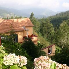 Casa Catarina (Madeira)