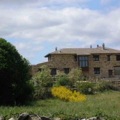 El Pajaro Chico (Zamora)