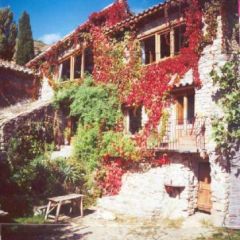 Guineu (Lleida)