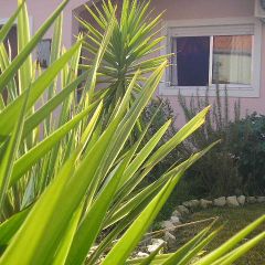 Casa Rural en Ponte de Vagos (Aveiro)