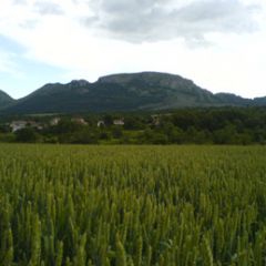 El Canto Del Mirlo (Burgos)