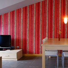 Apartamentos Spa Cueto (Asturias)