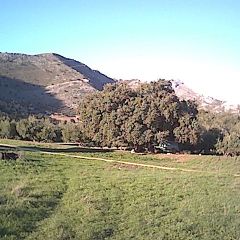 Cortijo Montaa (Crdoba)