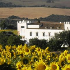 Cortijo Barranco (C�diz)