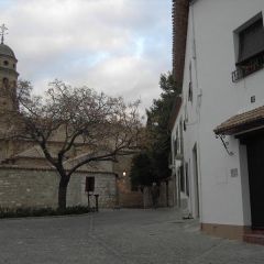 El Arcediano (Jan)