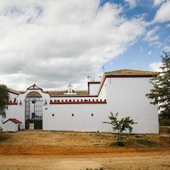 Cortijo Las Arenillas  (Sevilla)